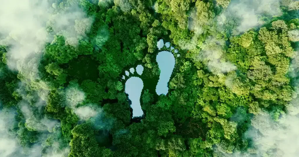 carbon footprint